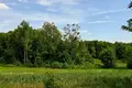 Земельные участки 31 500 м² Buszewo, Польша