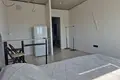 Apartamento 1 habitación 25 m² Viazan, Belarús
