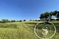 Producción 38 028 m² en Paliouri, Grecia