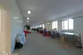 Manufacture 1 804 m² in Hotland rural council, Belarus
