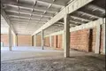 Производство 3 комнаты 1 174 м² в Станьковском сельском Совете, Беларусь