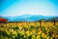 Wine is not just taste and aroma — it's the atmosphere and location that create it!