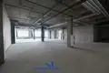 Propiedad comercial 200 m² en Minsk, Bielorrusia