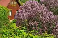 House 46 m² Kalodziscanski selski Savet, Belarus