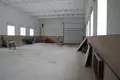 Produktion 1 194 m² Tomkavicy, Weißrussland