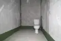 Wohnung 1 zimmer 20 m² Fanipal, Belarus