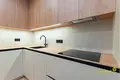 Wohnung 2 zimmer 49 m² Minsk, Belarus