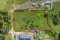 Land 2 994 m² Potasze, Poland