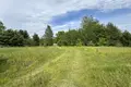 Land  Mikalajeuscynski sielski Saviet, Belarus