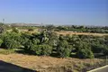 Gewerbefläche  el Baix Segura La Vega Baja del Segura, Spanien