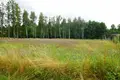 Land 3 431 m² Siedleczek, Poland