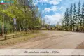 Land  Akmeniskes, Lithuania
