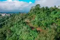 Земельные участки  Кофейная плантация, Индонезия
