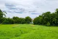 Dom 44 m² Mir, Białoruś