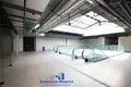 Commercial property 200 m² in Minsk, Belarus