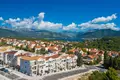 1 bedroom apartment 59 m² Radovici, Montenegro