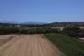 Land  Tavronitis, Greece