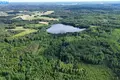 Land  Petrauskai, Lithuania
