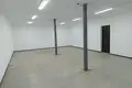 Lager 8 zimmer 232 m² in Pleschtschanizy, Belarus