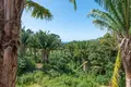 4 bedroom house 163 m² West End, Honduras