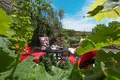 4-Zimmer-Villa 300 m² Zagora, Montenegro
