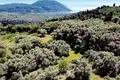 9-Zimmer-Villa 119 m² Agios Petros, Griechenland