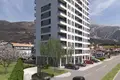 Wohnung 27 m² Bjelisi, Montenegro