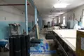 Zakład produkcyjny 513 m² Marina Horka, Białoruś