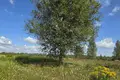 House 66 m² Blonski sielski Saviet, Belarus