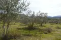 Land 5 980 m² Peloponnese Region, Greece