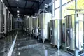🏭 For Sale – Modern Winery in Gremi, Kakheti