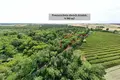 Land 9 980 m² Smolice, Poland
