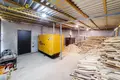 Zakład produkcyjny 1 pokój 500 m² w Lahojsk selsaviet, Białoruś