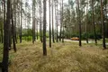 Land 1 room 9 812 m² Otwock, Poland