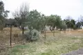 Land 1 room  Settlement "Vines", Greece