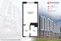 Apartamento 1 habitación 25 m² Viazan, Belarús