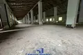 Commercial property 806 m² in Novakolasauski sielski Saviet, Belarus