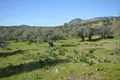 Land 7 000 m² Peloponnese Region, Greece