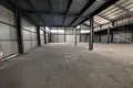 Warehouse 1 125 m² in Palaiometocho, Cyprus