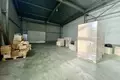 Warehouse 230 m² in Zhdanovichy, Belarus