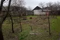 Haus 59 m² Kalinkawitschy, Weißrussland
