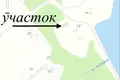 Atterrir  Pliescanicki sielski Saviet, Bélarus