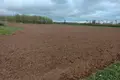 Atterrir  Babinicki sielski Saviet, Bélarus