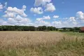 Parcelas 759 m² Rybojedzko, Polonia