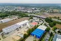 Geschäft 982 m² in Wrzesnia, Polen