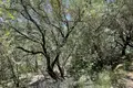 Land  Peloponnese, West Greece and Ionian Sea, Greece