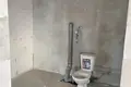 Mieszkanie 4 pokoi 216 m² Mińsk, Białoruś