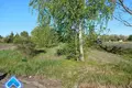Дом 37 м² Горошков, Беларусь