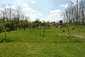 Działki 3 995 m² Nyiregyhazi jaras, Węgry