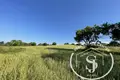 Producción 38 028 m² en Paliouri, Grecia